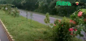 ঢাকা মাওয়া এলিভেটেড এক্সপ্রেসওয়েতে মনোমুগ্ধকর ফুলের দৃশ্য